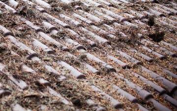 Invereddrie roof cleaning companies